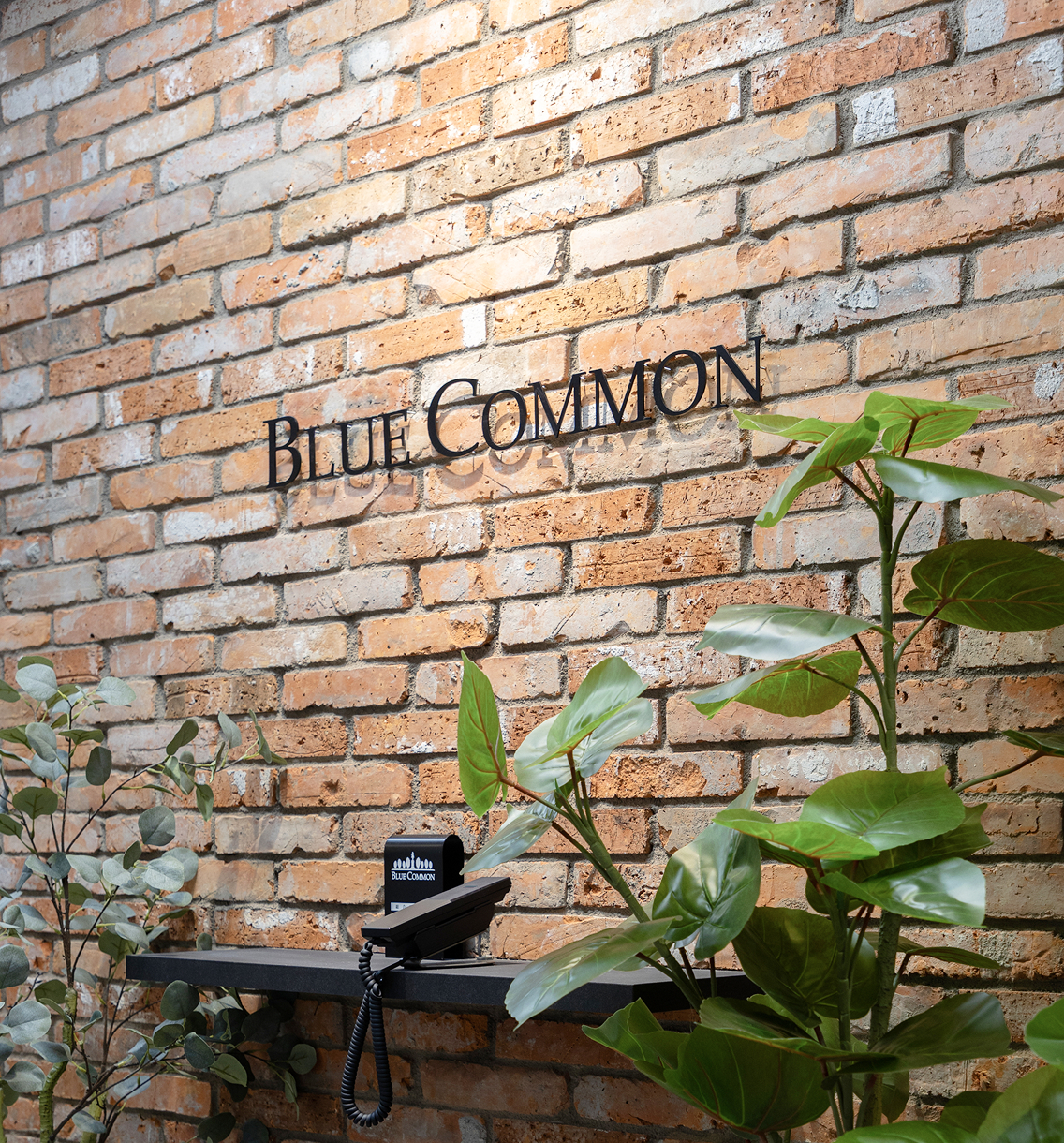 Blue Common Office