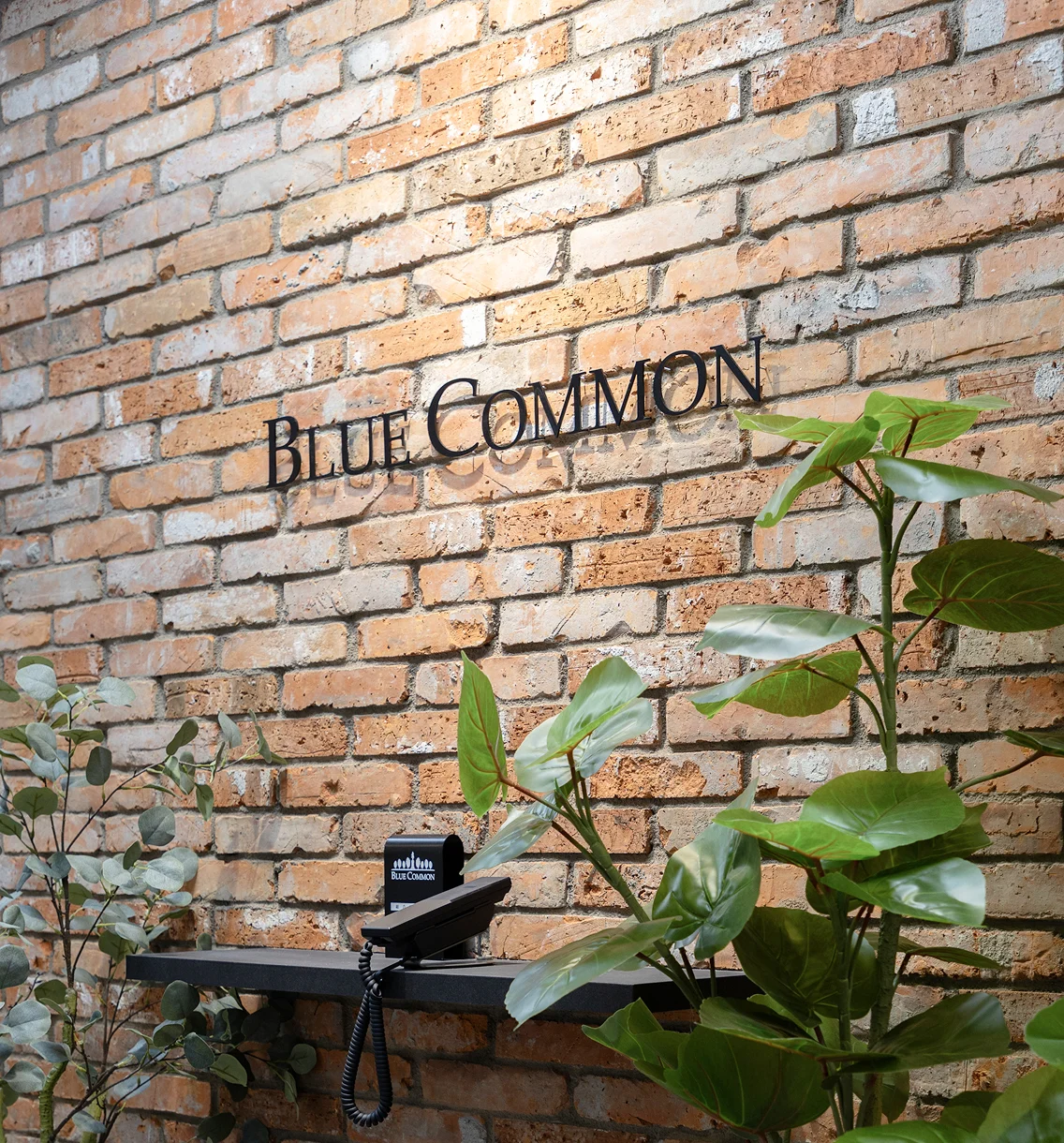 Blue Common Office